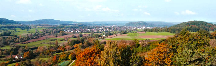 commune de Bade-Wurtemberg (Allemagne), située dans l'arrondissement de Constance, dans le district de Fribourg-en-Brisgau