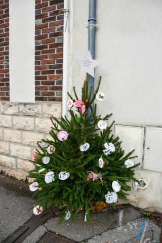 Les jeunes élus du CME décorent les sapins du centre-ville