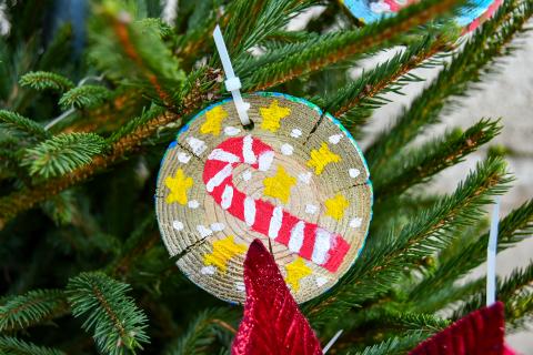 Les jeunes élus du CME décorent les sapins du centre-ville