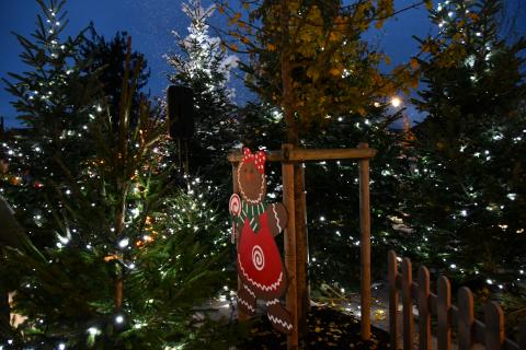 Lancement des festivités de Noël
