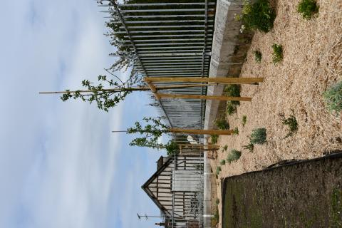 Travaux en cours