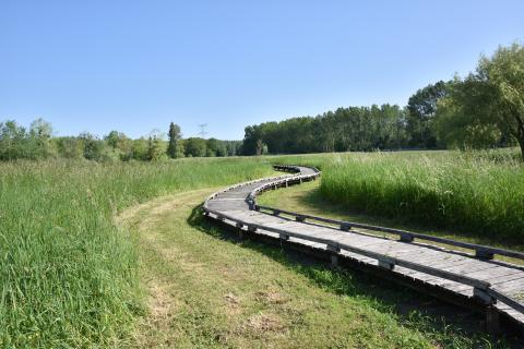 Entretien du Plan d'eau du Monteuil