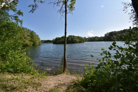 Entretien du Plan d'eau du Monteuil