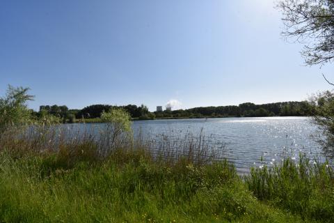 Entretien du Plan d'eau du Monteuil