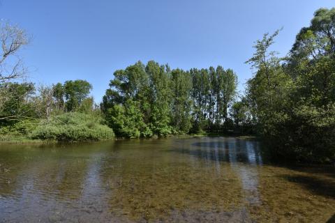 Entretien du Plan d'eau du Monteuil