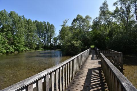 Entretien du Plan d'eau du Monteuil