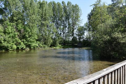 Entretien du Plan d'eau du Monteuil