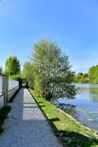 Bords de Seine