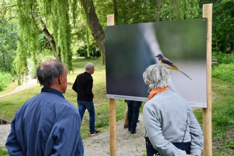 Inauguration de l'exposition "Au détour d'un chemin"