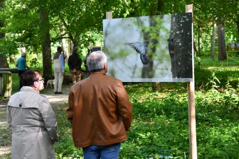 Inauguration de l'exposition "Au détour d'un chemin"