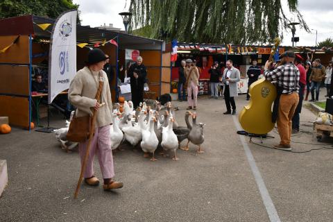 Foire de la Saint-Simon 2023