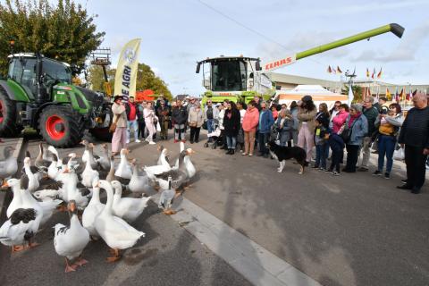 Foire de la Saint-Simon 2023