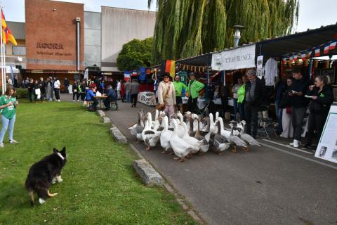 Foire de la Saint-Simon 2023