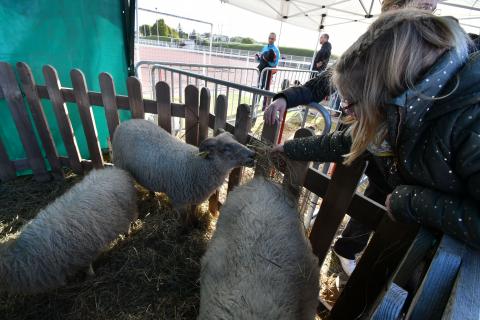 Foire de la Saint-Simon 2023