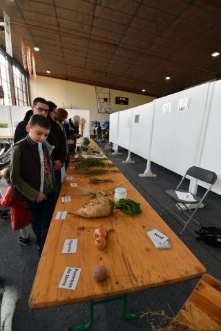 Foire de la Saint-Simon 2023