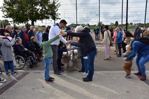 Foire de la Saint-Simon 2023