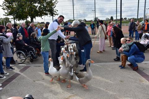 Foire de la Saint-Simon 2023