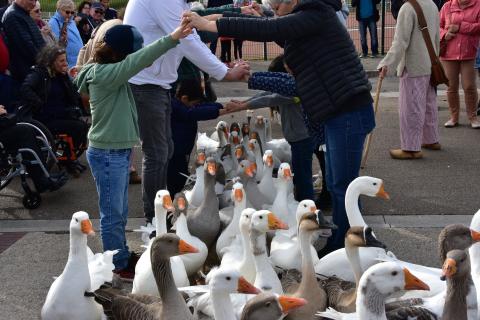 Foire de la Saint-Simon 2023