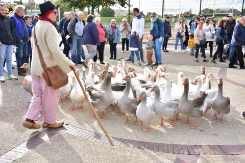 Foire de la Saint-Simon 2023