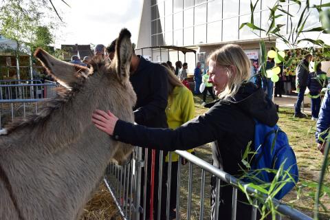 Foire de la Saint-Simon 2023