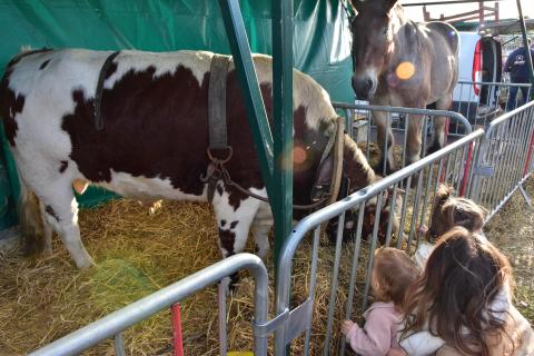 Foire de la Saint-Simon 2023