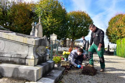 Végétalisation du cimetière