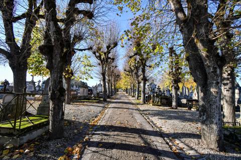 Première phase du projet d’extension du cimetière