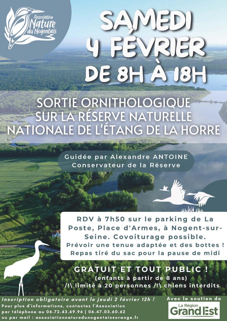 Sortie ornithologique