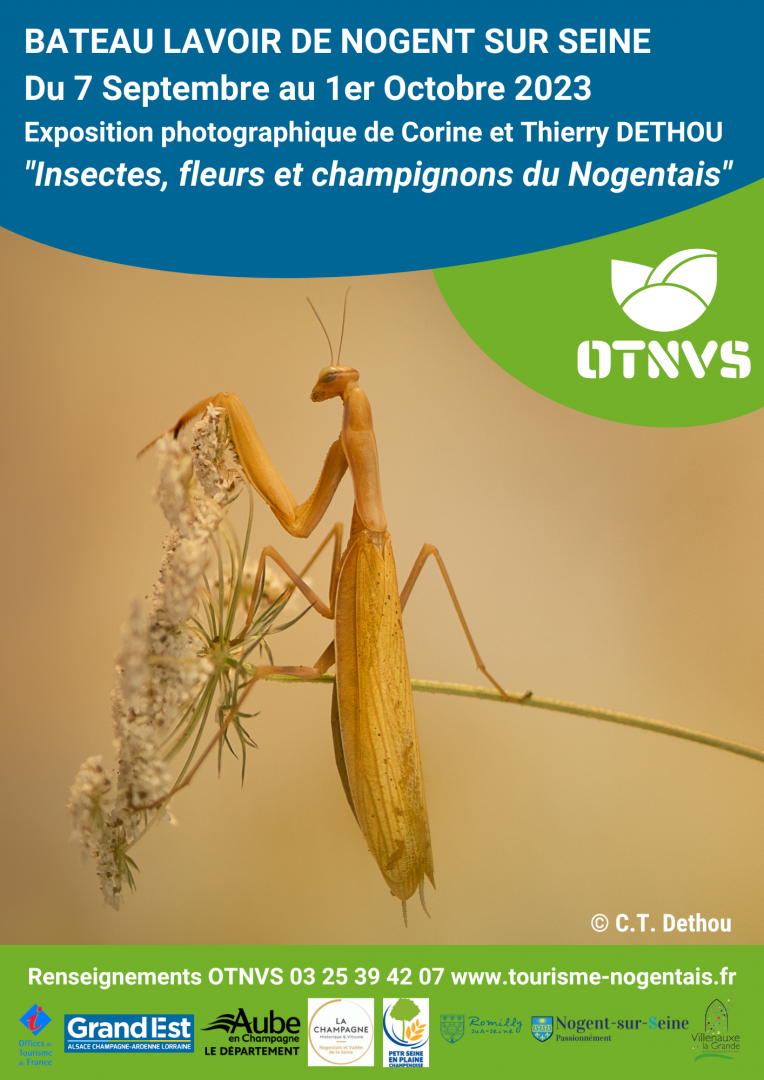 Exposition - Insectes, fleurs et champignons du Nogentais