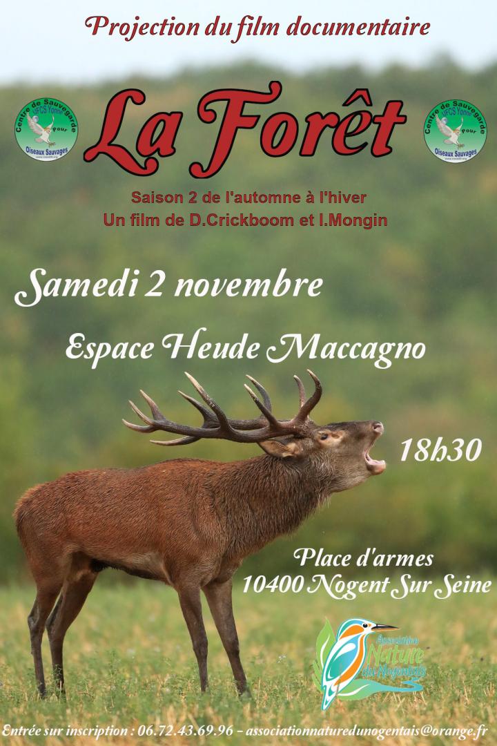 Projection du film documentaire La Forêt