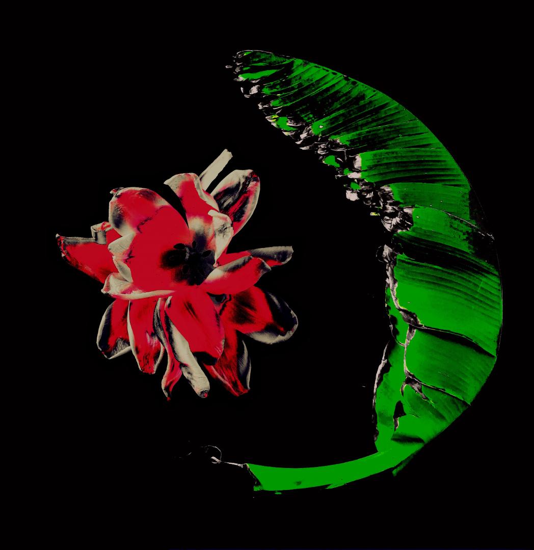 EXPOSITION - Nature en scène