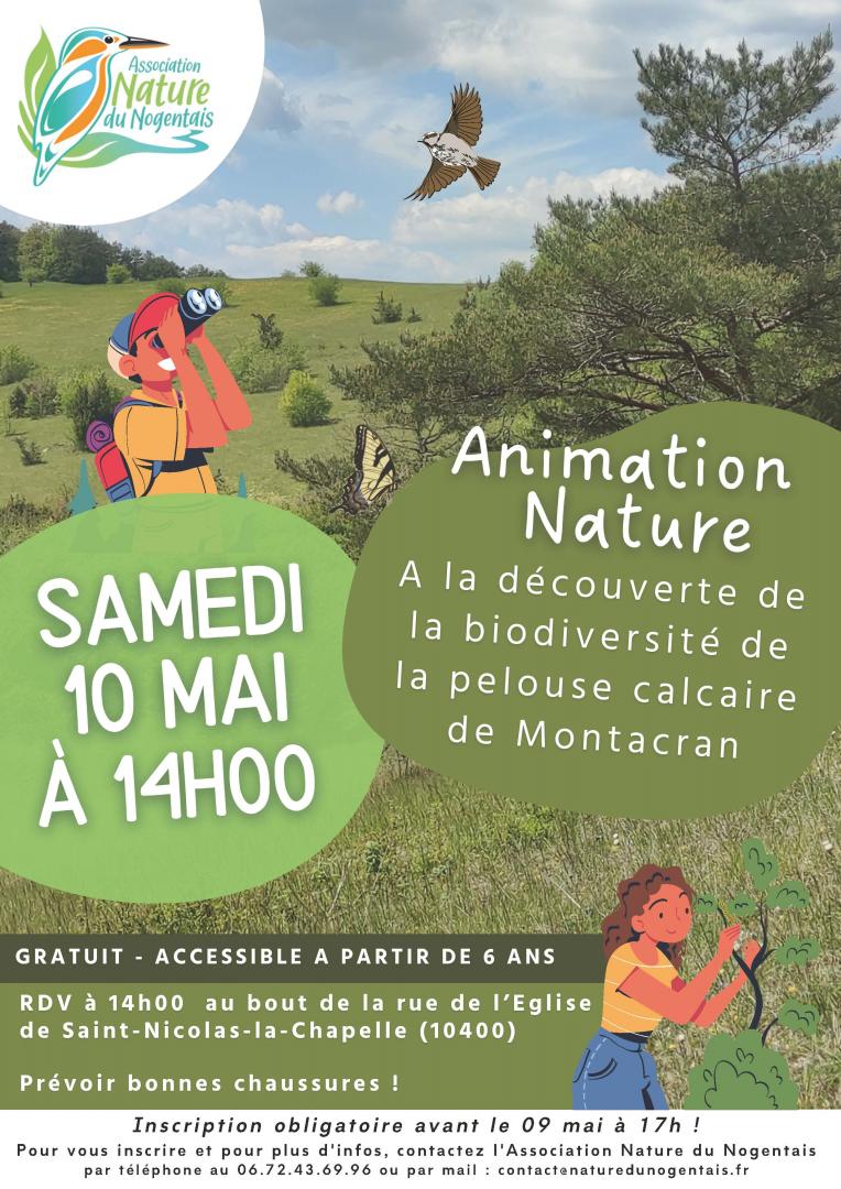 Animation nature